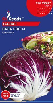 Салат цикорний Пала Роса 2811 фото