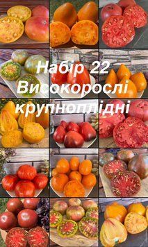 Набір 22 Високорослі, крупноплідні (15 сортів) 5020 фото
