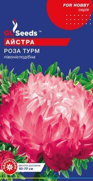 Айстра Роза Турм 2727 фото