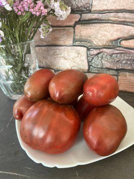 Гном Алмадін (Dwarf Almandine) 311 фото