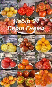 Набір 24 томати серії Гном (15 сотів) 5022 фото