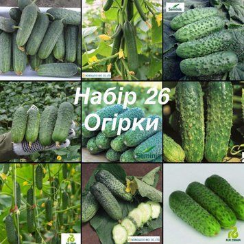 Набір 26 Огірки (10 сортів)  5024 фото