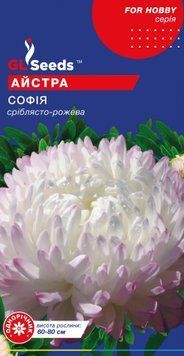Айстра Софiя 2732 фото