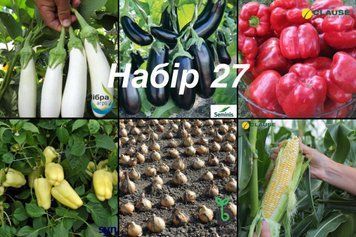 Набір 27 Різні овочі (7 сортів) 5025 фото