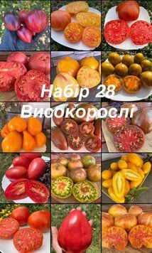 Набір 28 Високорослі (15 сортів) 5026 фото