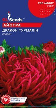 Айстра Дракон Турмалін 2734 фото