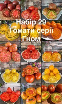 Набір 29 томати серії Гном&nbsp; (15 сортів) 5027 фото