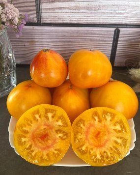 Томат Ананас малібу (MALIBU PINEAPPLE) 20 насінин 142 фото