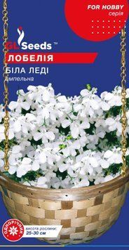 Лобелiя Бiла Ледi 2717 фото