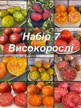 Набір 7 Високорослі (12 сортів) 5003 фото