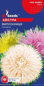 Айстра Випускниця 2700 фото