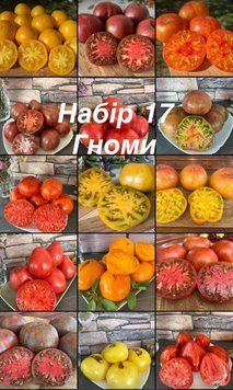 Набір 17 Гноми (15 сортів) 5015 фото
