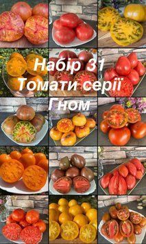 Набір 31 томати серії Гном (15 сортів) 5029 фото