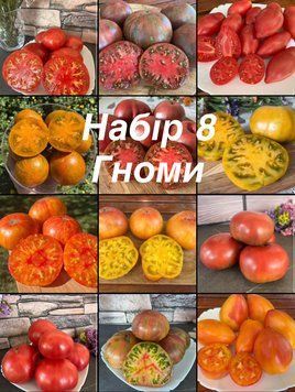 Набір 8 Гноми (12 сортів) 5004 фото