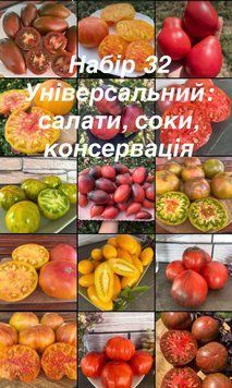 Набір 32 Універсальний (15 сортів) 5030 фото