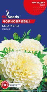 Чорнобривці Біла куля 2720 фото
