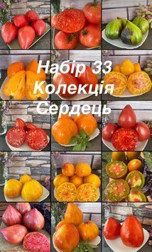 Набір 33 Колекція Сердець (15 сортів) 5031 фото