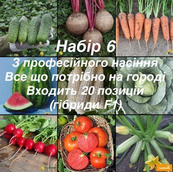 Набір 6: Професійне насіння для вашого городу (20 позицій) 5006 фото