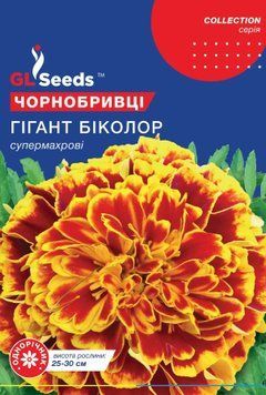 Чорнобривці Гігант бiколор 2722 фото
