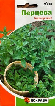 М'ята Перцева 2912 фото