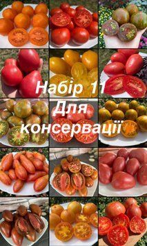 Набір 11 Для консервації&nbsp; (15 сортів) 5009 фото