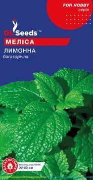 Мелiса лимонна 2916 фото