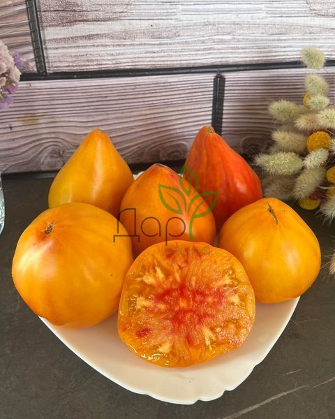 Томат Абрикосове серце зебри (Coeur de Zebra Apricot) 12 насінин 18 фото