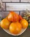 Томат Абрикосове серце зебри (Coeur de Zebra Apricot) 12 насінин 18 фото 1
