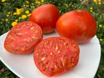 Томат Німецька червона суниця (German Red Strawberry) 12 насінин 126 фото
