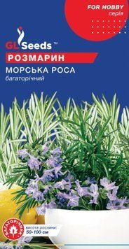 Розмарин Морська роса 2917 фото