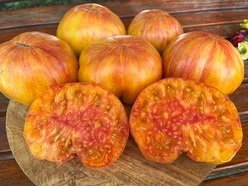 Томат Ананасне поросятко (Pineapple Pig) 20 насінин 106 фото