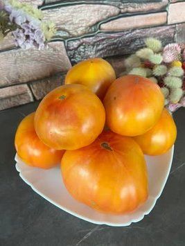 Гном Кайтідід&nbsp; 33 фото