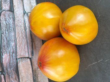 Ананасне биче серце (Pineapple Oxheart)&nbsp; 12 насінин 247 фото