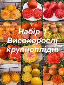Набір 1 &mdash; Високорослі крупноплідні (12 сортів) 5000 фото