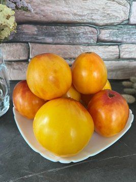 Гном Частування Глорії (Dwarf Gloria&rsquo;s Treat) 201 фото