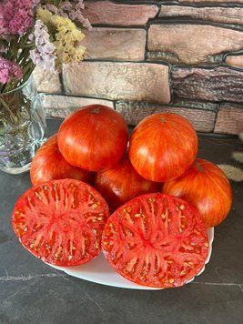 Гном Король краси&nbsp;(Dwarf Beauty King) 55 фото