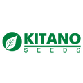 Kitano