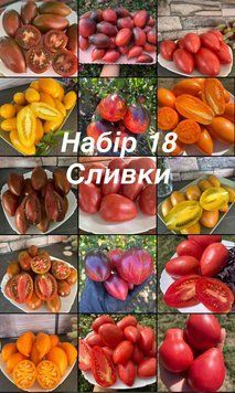 Набір 18 Сливки (15 сортів) 5016 фото
