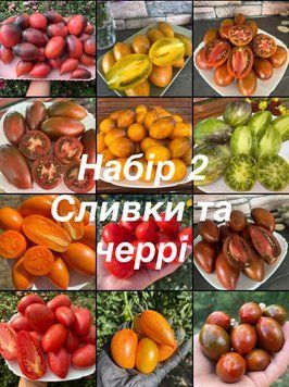 Набір 2 &mdash; Сливки та черрі (12 сортів) 5001 фото
