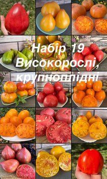 Набір 19 Високорослі (15 сортів) 5017 фото