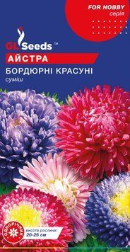 Айстра Бордюрнi красунi 2706 фото