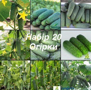 Набір 20 Огірки (9 сортів) 5018 фото